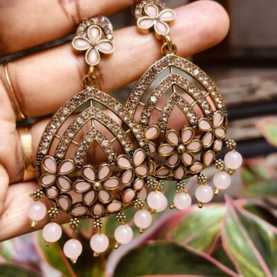 Beautiful Hanging Earrings